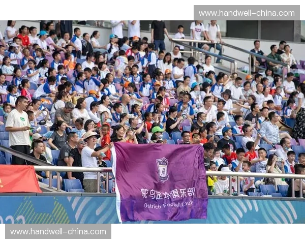 拉萨业余足球联赛：助力青少年成长推动足球文化普及与发展